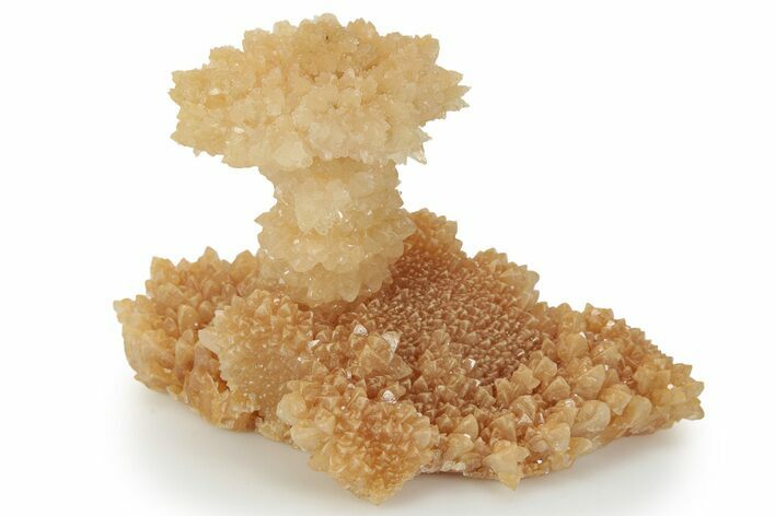 Fascinating Cave Calcite Mushroom Stalactite - Wenshan Mine #223546